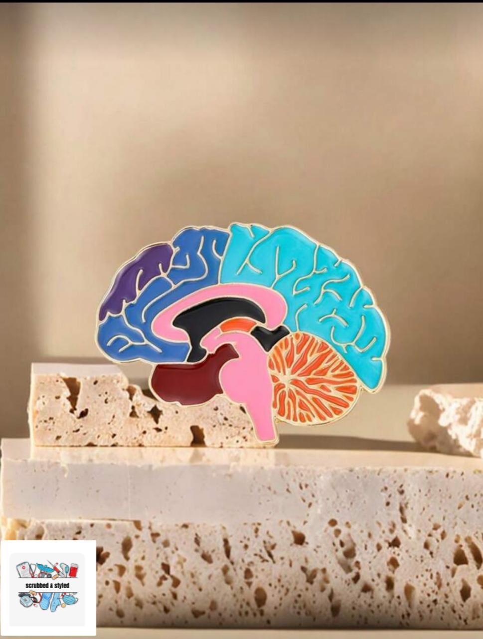 Brain anatomy pin