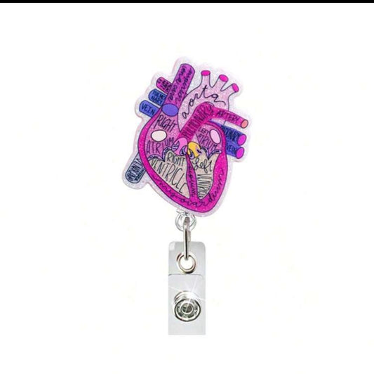 Anatomy heart card holder