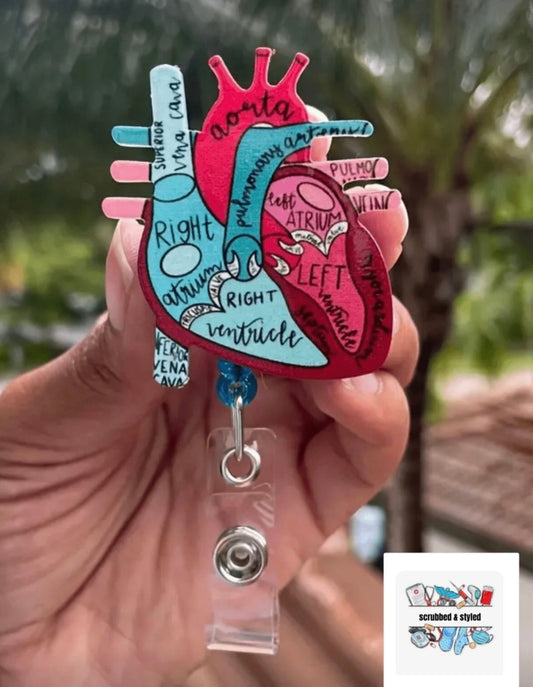 Anatomy heart card holder