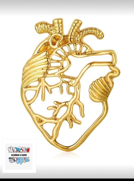Gold anatomy heart pin