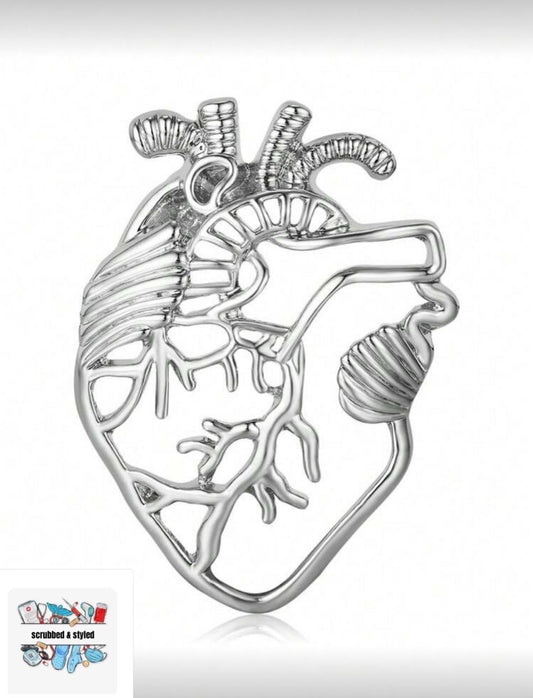 Silver anatomy heart pin