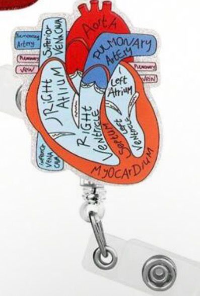 Glittering anatomy heart card holder