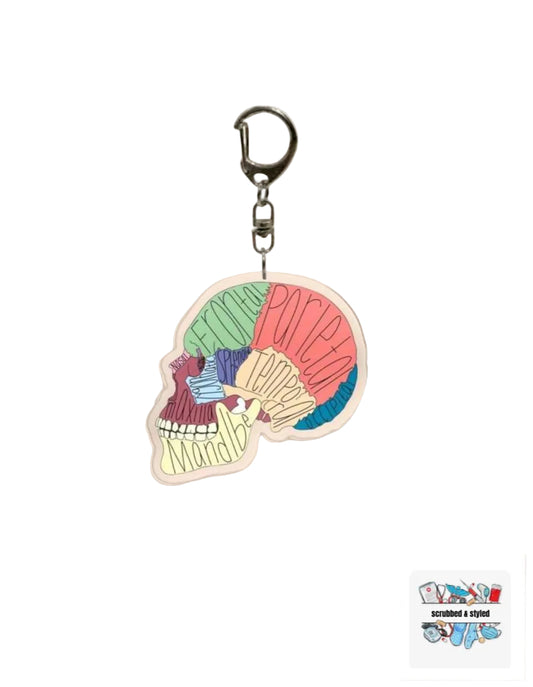 Anatomy keychains